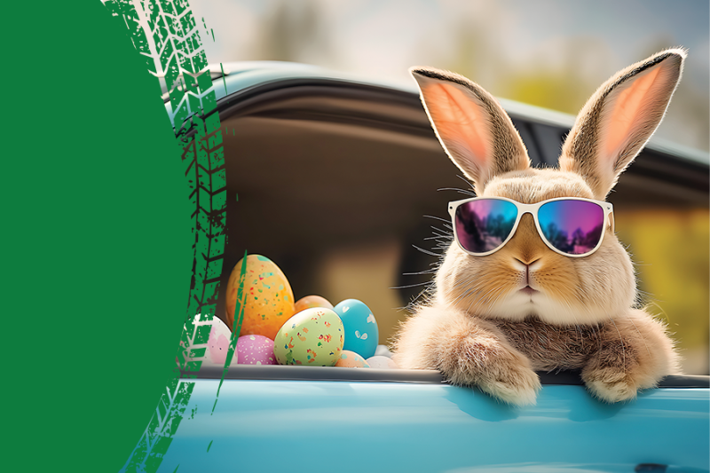 Grafika przedstawiająca zająca w aucie, informacja o bezpłatnym parkowaniu 3-4 kwietnia w Galerii Młociny.