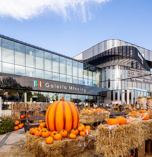 farma dyń przed galerią młociny wydarzenie