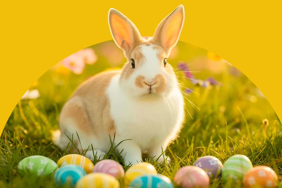 Grafika wizerunkowa Galerii Młociny na Wielkanoc 2026. Przedstawia białego zajączka wielkanocnego na tle zielonej trawy i kolorowych pisanek. Zdjęcie ilustruje sekcję aktualności dotyczącą godzin otwarcia centrum handlowego w dniach 4, 5 i 6 kwietnia.