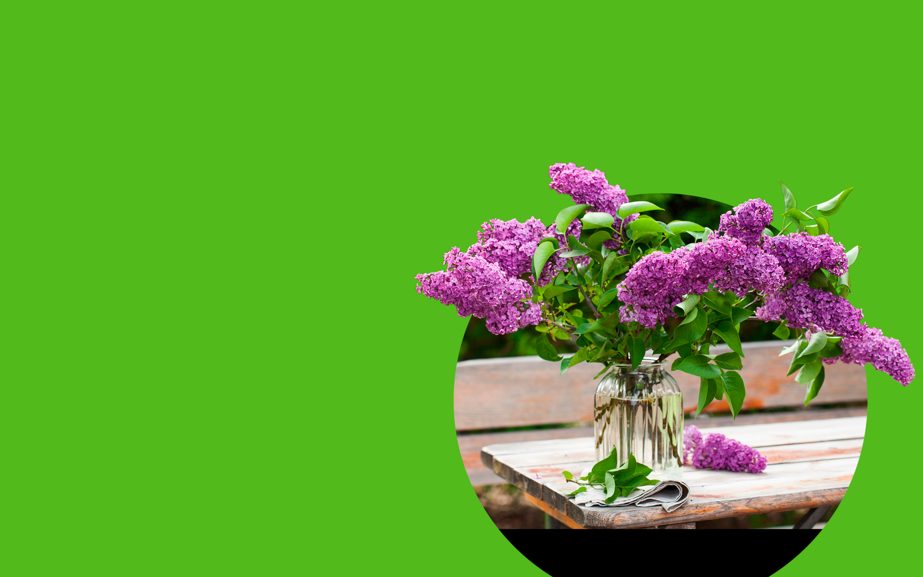 Grafika informacyjna przedstawiająca godziny otwarcia Galerii Młociny oraz listę restauracji dostępnych w dniach 1, 2 i 3 maja.