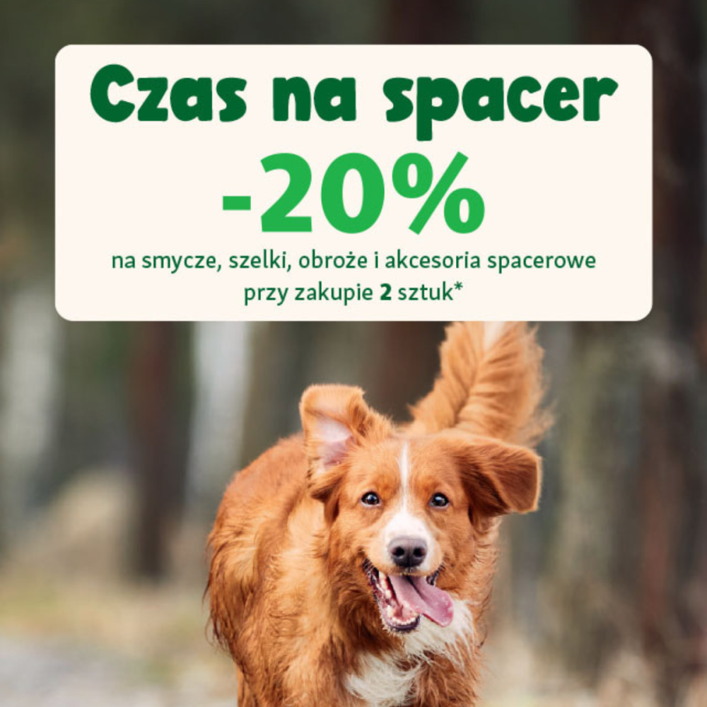 Grafika przedstawiająca biegnącego psa, informująca o promocji \